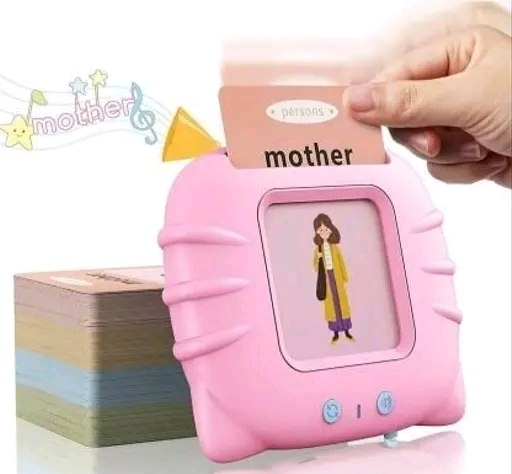Electronic Talking Flash Cards for Kids - 224+ Early Learning Words (Educational Toy)